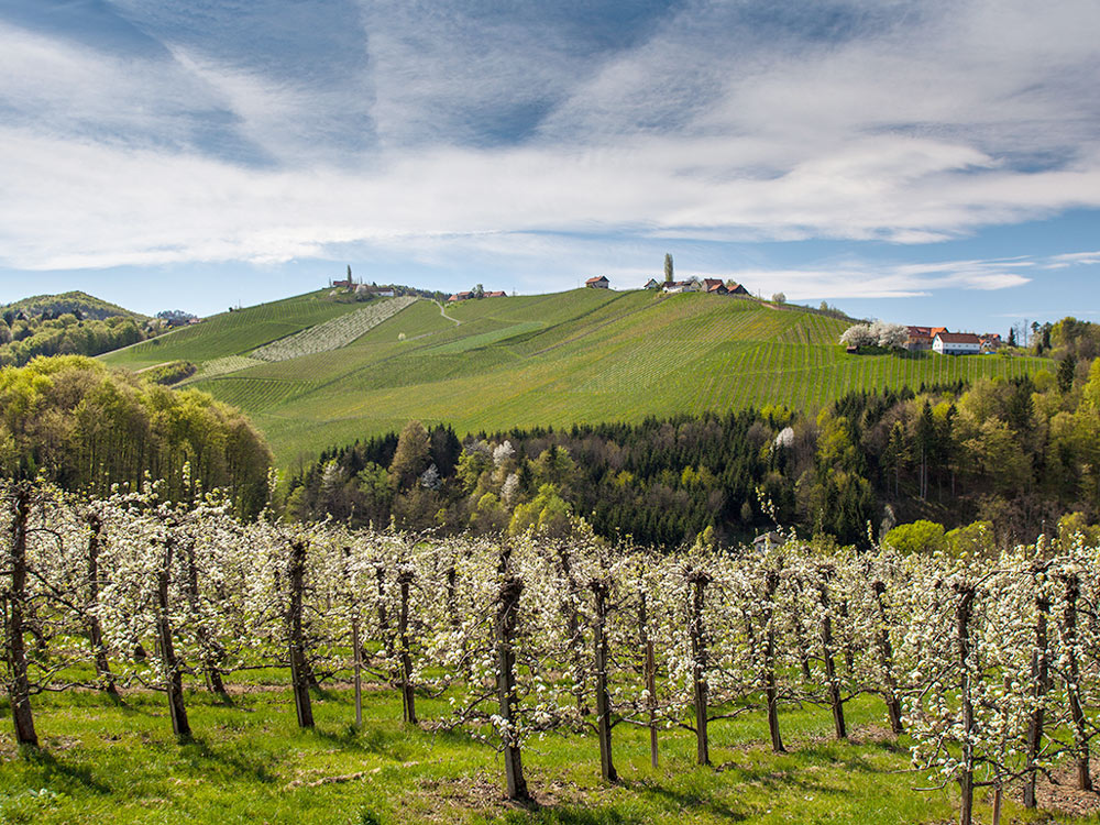 steiermark